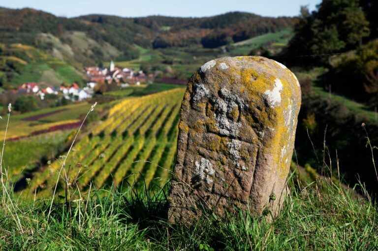 Grenzstein bei Oberbergen im Kaiserstuhl